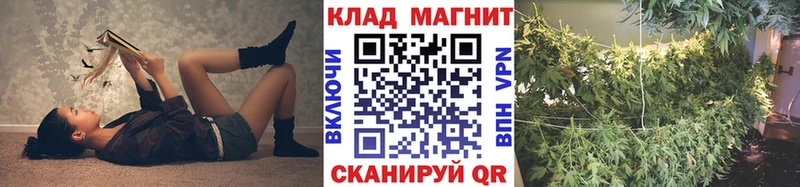 Купить наркотики Мытищи СОЛЬ  Cocaine  ГАШИШ  Мефедрон  Каннабис 
