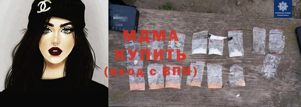 индика Гусь-Хрустальный