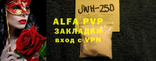 индика Гусь-Хрустальный