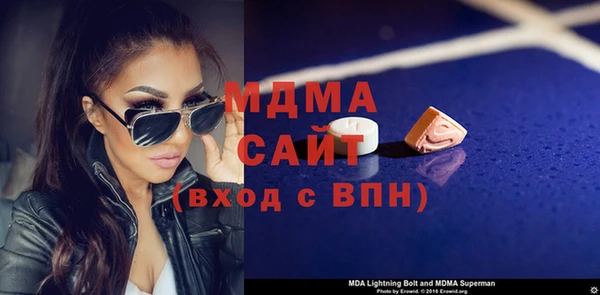 индика Гусь-Хрустальный