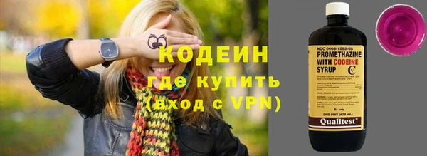 индика Гусь-Хрустальный