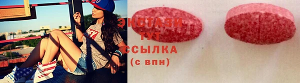 индика Гусь-Хрустальный