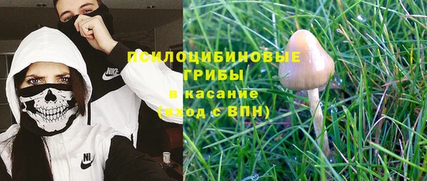 мдма Гусев