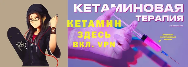 индика Гусь-Хрустальный
