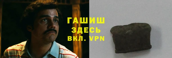 индика Гусь-Хрустальный