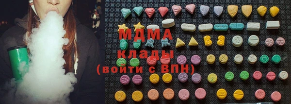 индика Гусь-Хрустальный