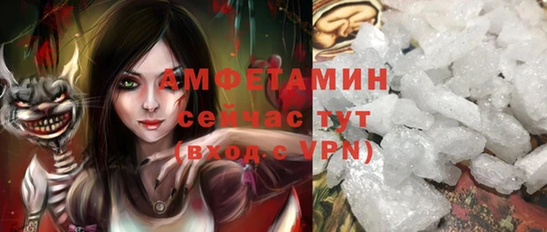 индика Гусь-Хрустальный