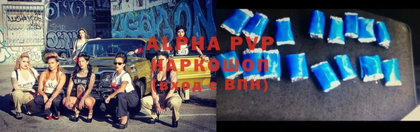 индика Гусь-Хрустальный