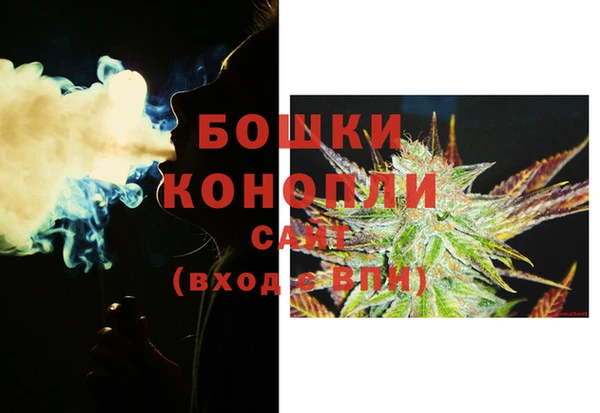 индика Гусь-Хрустальный