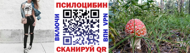 Псилоцибиновые грибы Magic Shrooms купить цена Мытищи