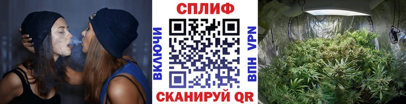 купить наркотик Мытищи МАРИХУАНА MAZAR